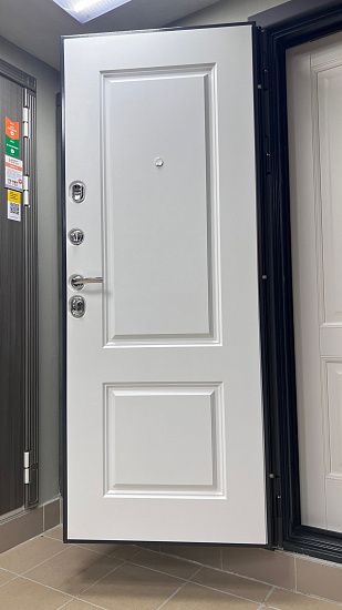 Входная дверь  