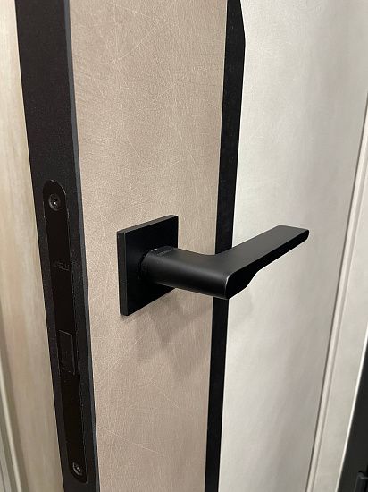 Межкомнатная дверь  