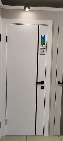 Межкомнатная дверь  