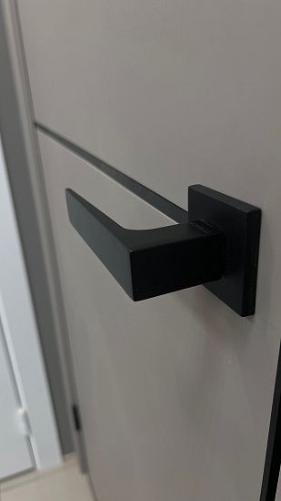 Межкомнатная дверь  